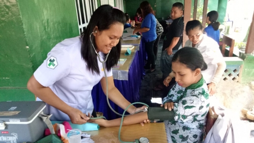 Pemantauan Kesehatan Ibu oleh Petugas