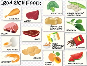 Makanan Kaya Zat Besi