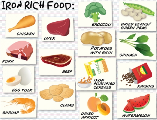 Makanan Kaya Zat Besi