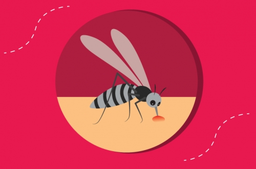 Nyamuk Aedes aegypti penyebab DBD