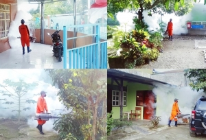 Petugas sedang melakukan Fogging di rumah warga